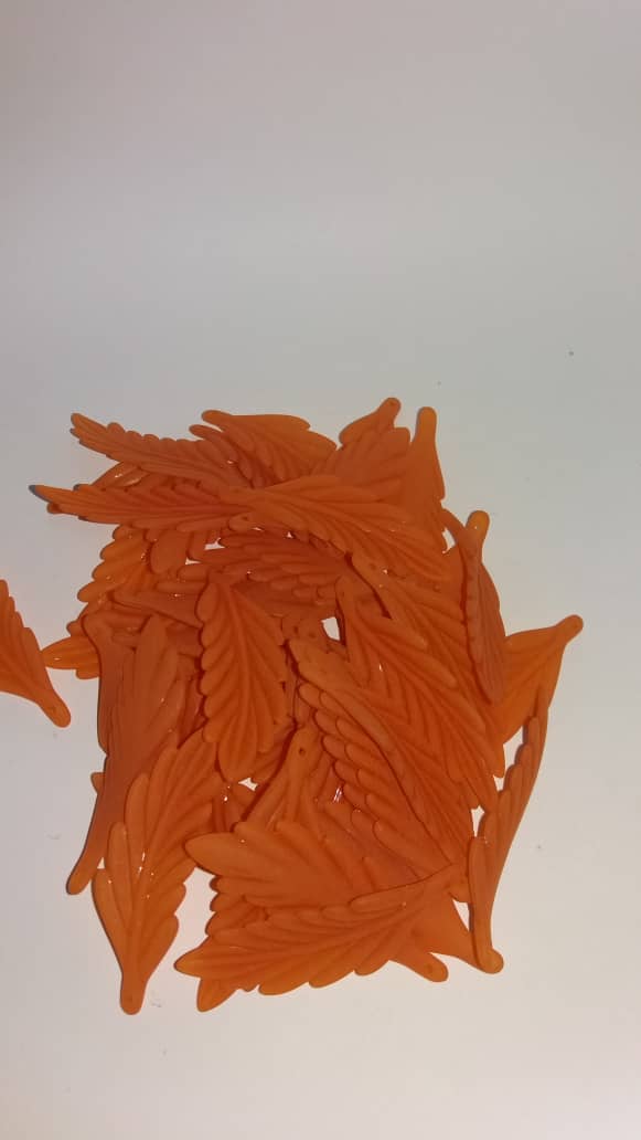 برگ سرخس 50 گرمی
